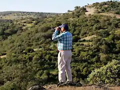 09, echando un vistazo, marca