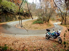 DSCN3130 DSCN3130