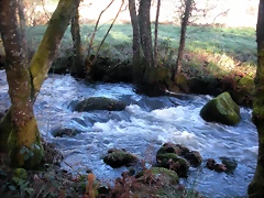 DSCN2083 DSCN2083