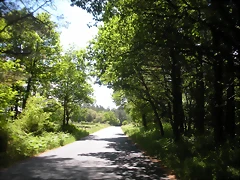 DSCN5401