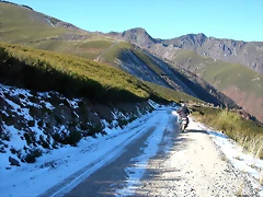 DSCN6841