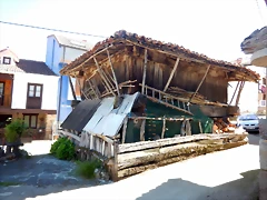 DSCN6786 DSCN6786