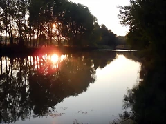 DSCN9563 DSCN9563