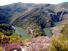 DSCN4029 DSCN4029