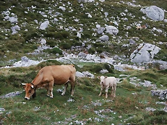DSC_0148 DSC_0148
