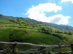 DSCN0677 DSCN0677