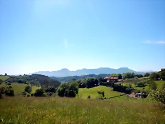 DSCN2984 DSCN2984