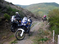 IMG_0442.5 IMG_0442.5
