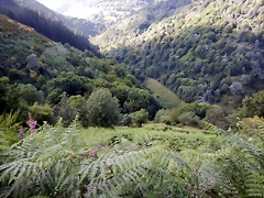 DSCN9230 DSCN9230