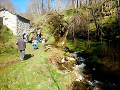 DSCN4527 DSCN4527