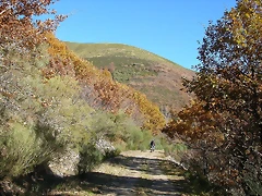 DSCN6853