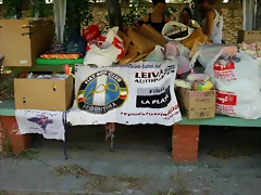 IMAG0035 IMAG0035