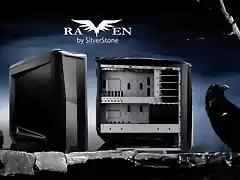 Big-Tower-Raven-RV01