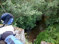 DSCN2445 DSCN2445