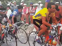 Perico-Tour1985-Hinault-Pino