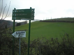 DSCN2834 DSCN2834