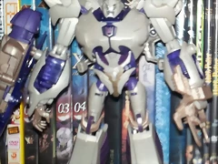 Megs Megs