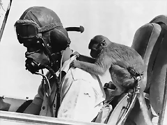 Piloto británico con su mascota en el Norte de Africa Piloto británico con su mascota en el Norte de Africa