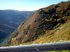 DSCN0884 DSCN0884