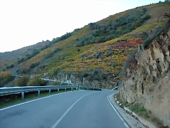 DSCN6544 DSCN6544