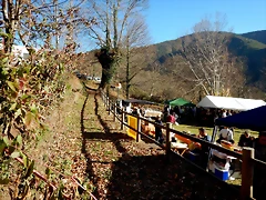 DSCN0279 DSCN0279