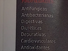 IMAG1740