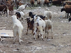 Image00026 Image00026