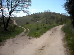 DSCN5384