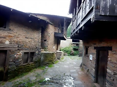 DSCN5236 DSCN5236