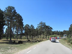 IMG_5599 IMG_5599
