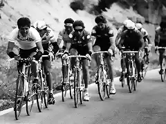 Perico-Vuelta1987-Kelly-Millar-Pino