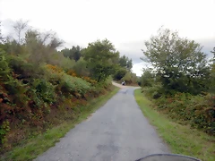 DSCN7235 DSCN7235