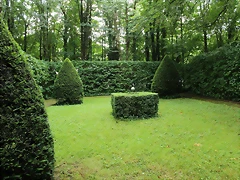 IMG_6616 IMG_6616