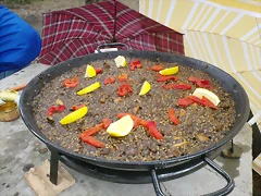 ARROZ 2013 017 ARROZ 2013 017
