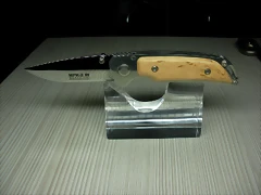 SANY2506