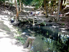 DSCN8355 DSCN8355