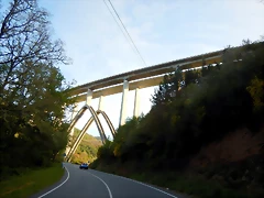 DSCN0921 DSCN0921