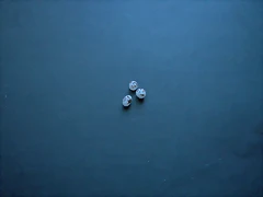 100_6690