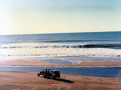 img018 img018