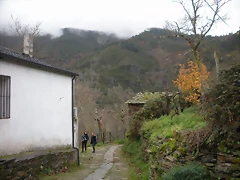 DSCN1143 DSCN1143