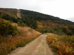 DSCN9974 DSCN9974