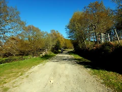 DSCN9039