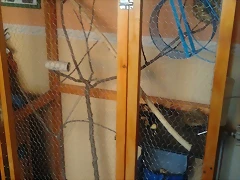 2011-07-07 17.56.52