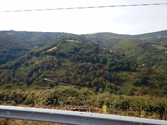 DSCN9664 DSCN9664