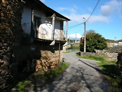 DSCN6393 DSCN6393