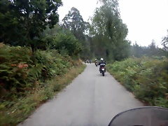 DSCN0484 DSCN0484