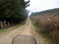 DSCN8151 DSCN8151