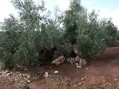 arrastre de piedras