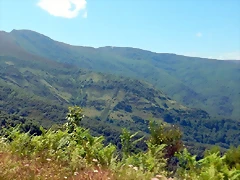 DSCN4875'4 DSCN4875'4