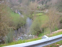 DSCN6268